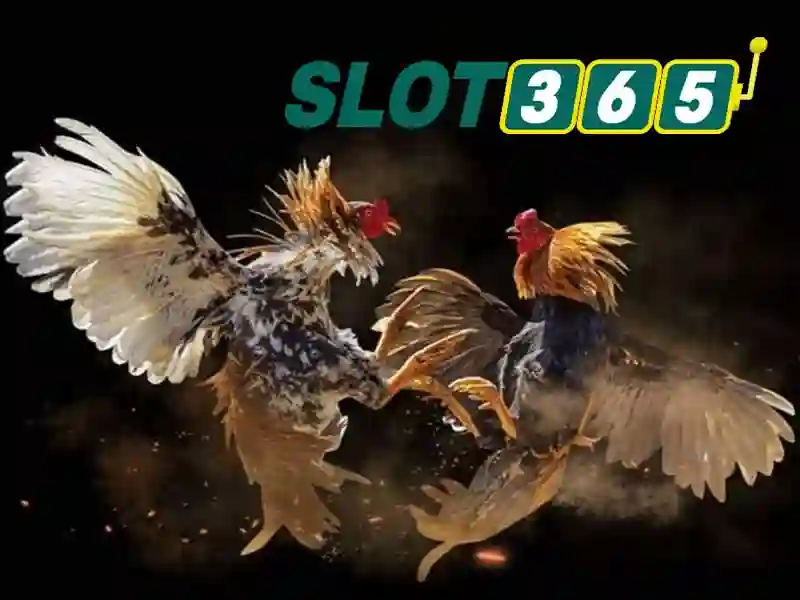 slot365. – Tổng quan chủ đề và giá trị cốt lõi