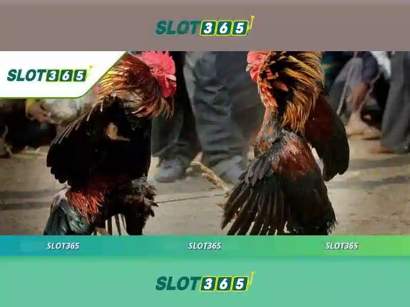 Trải nghiệm người dùng và phản hồi cộng đồng