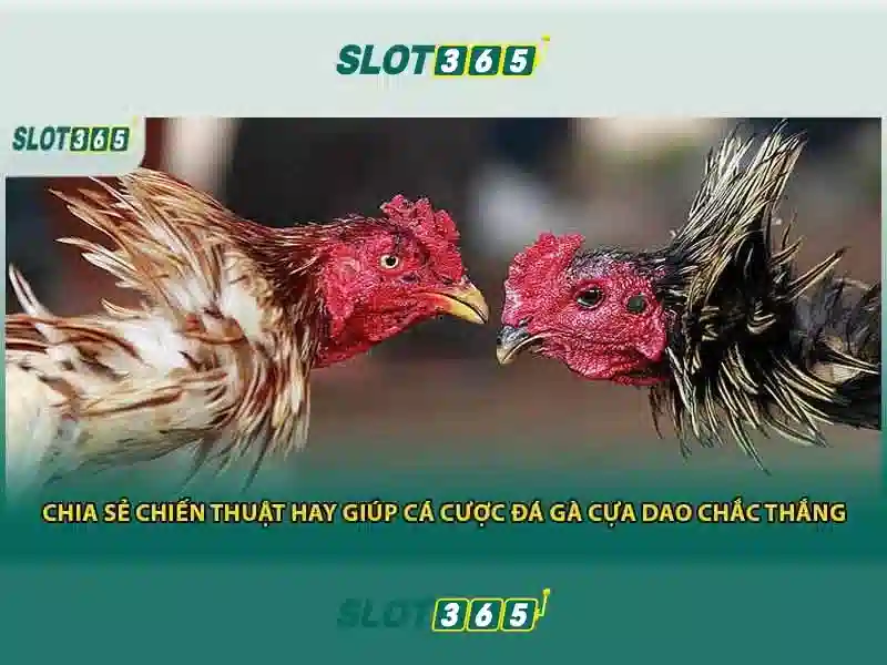 Hướng dẫn đăng ký nhanh gọn\n\n<p><span style=