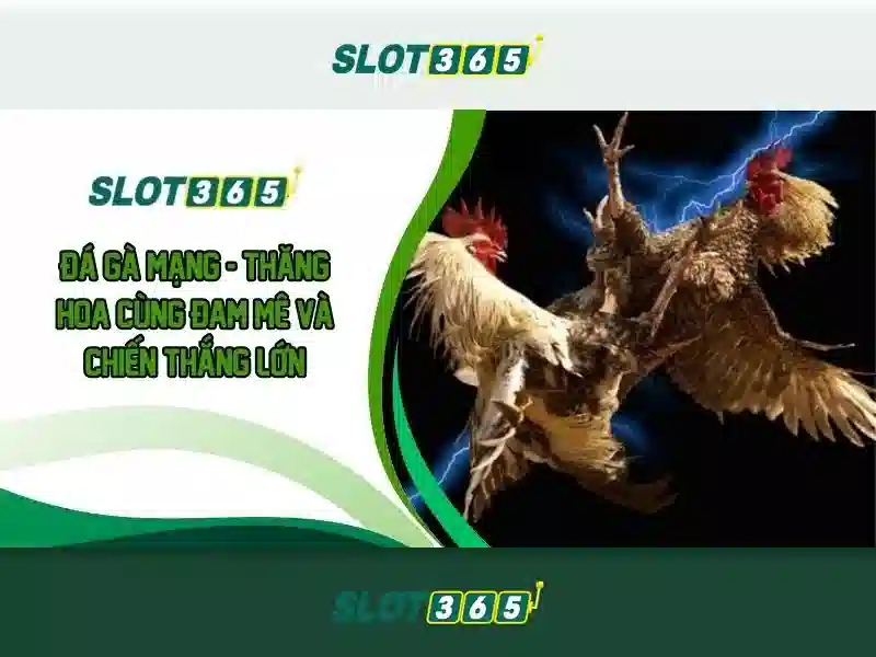 Mẹo chơi bắn cá 3 cây dễ ăn tiền nhà cái