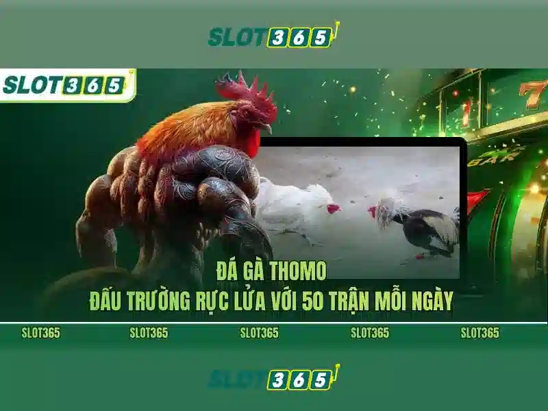 Slot365: Trải nghiệm slot trực tuyến đáng tin cậy và thú vị