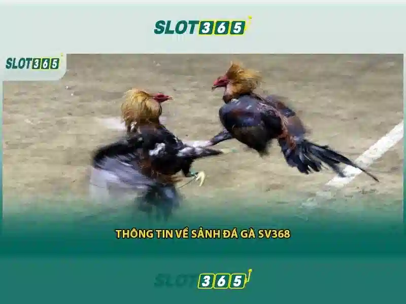 Mẹo chơi bắn cá 3 cây dễ ăn tiền nhà cái