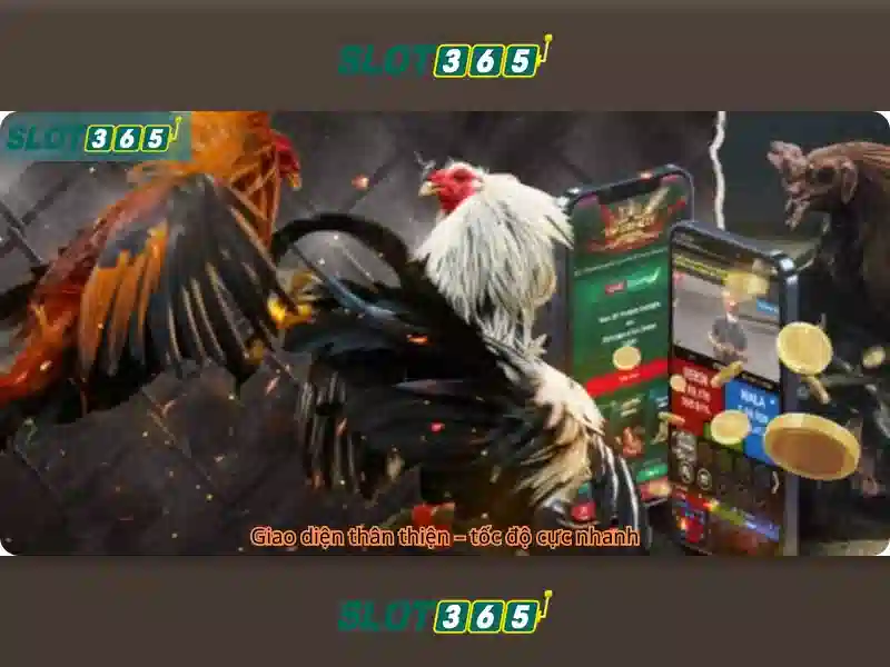 Sản phẩm và dịch vụ cốt lõi: ứng dụng thực tế của slot365 vip