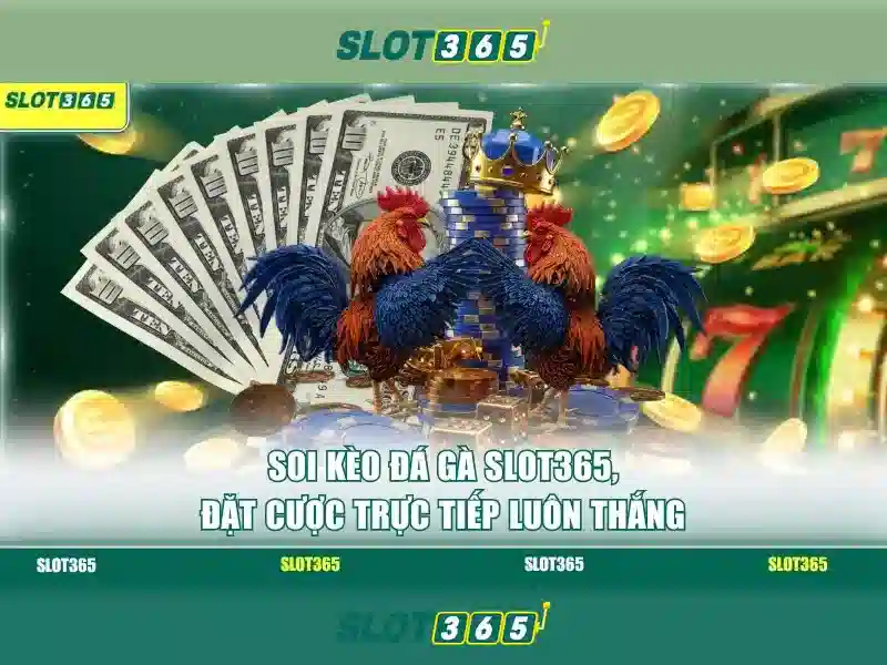 Lý do nên chọn Slot365