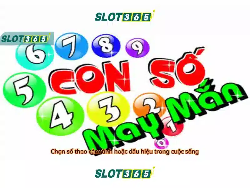 An toàn và pháp lý của Slot365