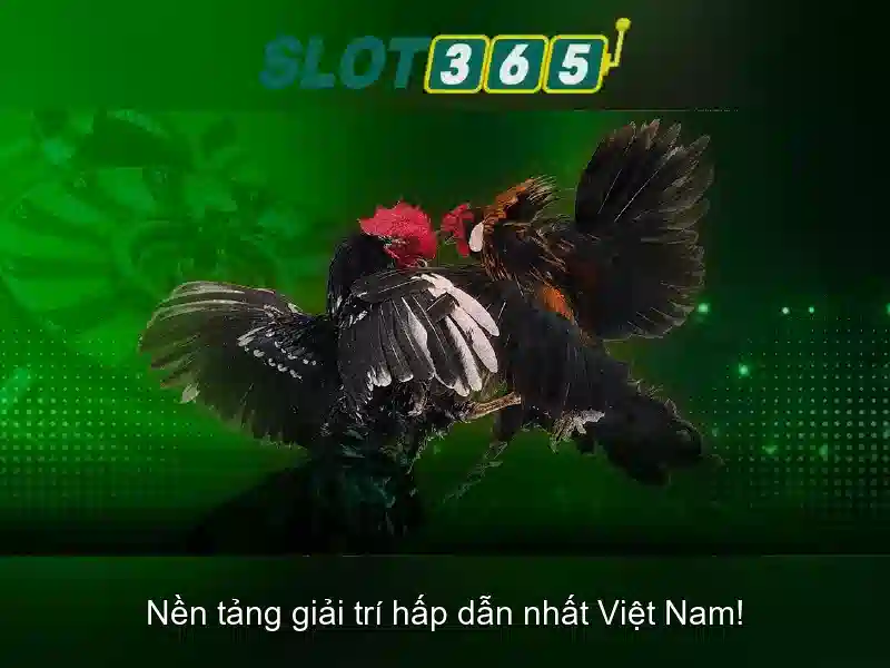 Khuyến mãi, tiền thưởng và chương trình khách hàng thân thiết\n\n<h>An toàn và hỗ trợ người chơi Việt Nam</h>\n<p><span style=