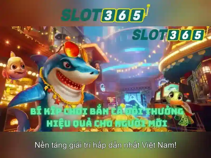 Lời kết