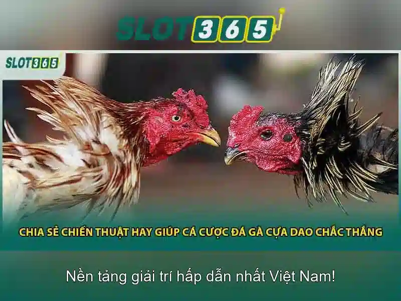 Mẹo chơi bắn cá 3 cây dễ ăn tiền nhà cái