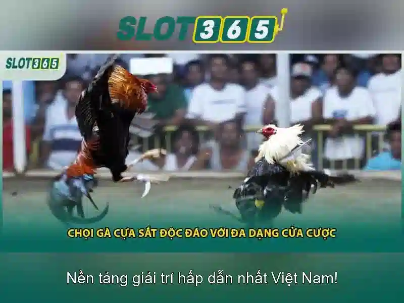 Slot365: Nền tảng đánh bạc trực tuyến an toàn và dễ dàng sử dụng