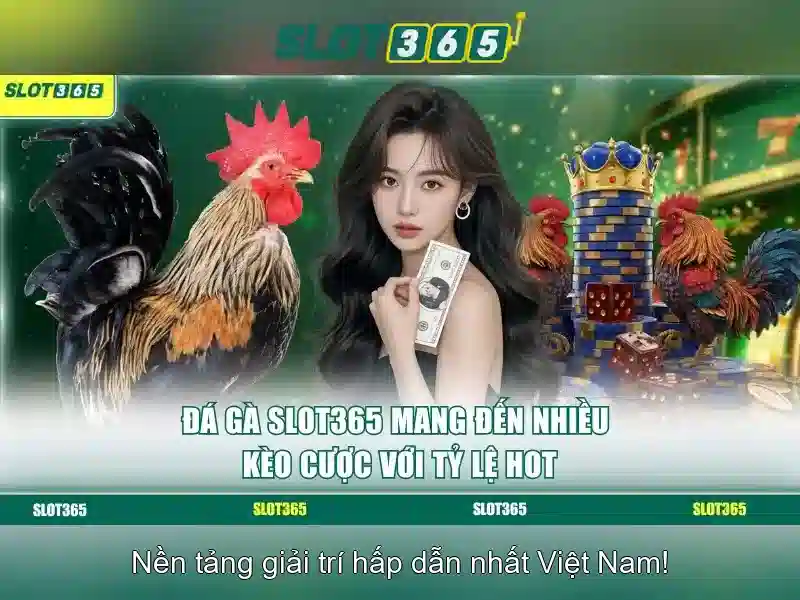 Đánh giá và cộng đồng
