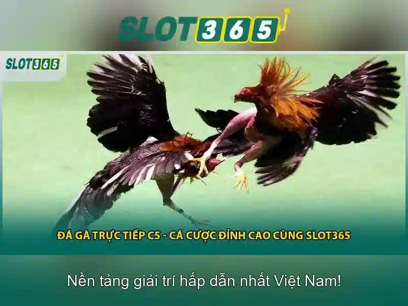 Mẹo chơi bắn cá 3 cây dễ ăn tiền nhà cái