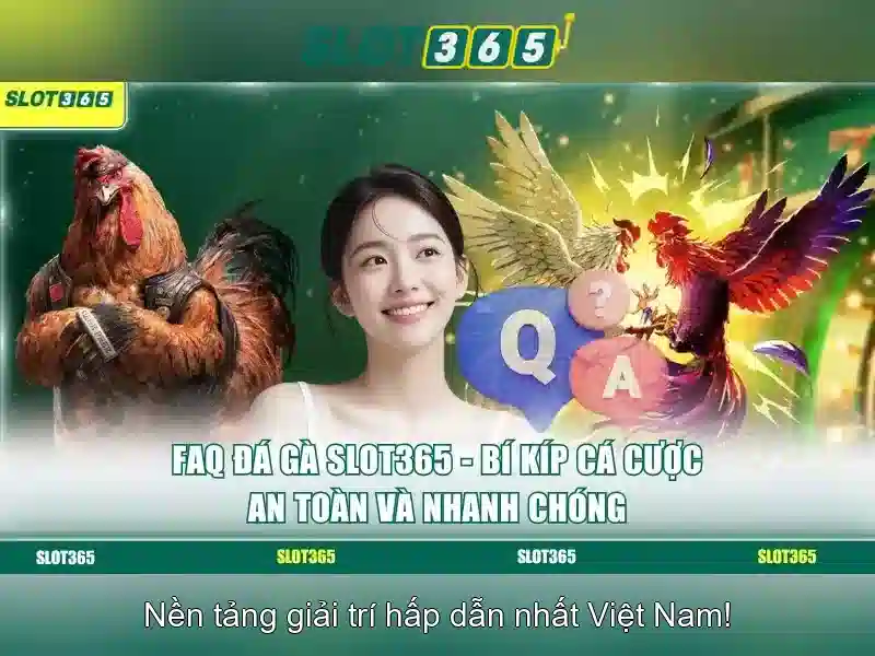 Slot365 là gì?