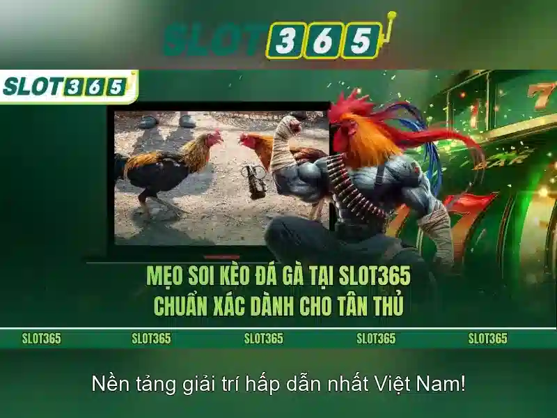 Khuyến mãi và cách nhận thưởng