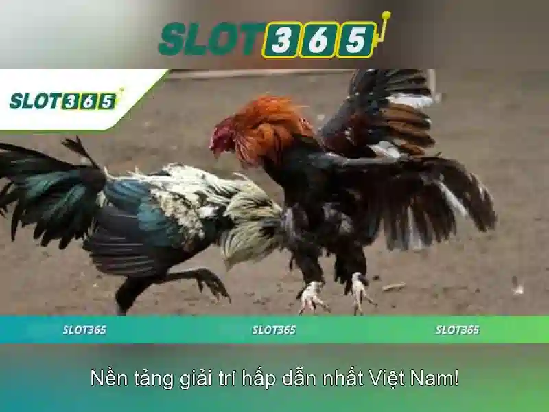 Uy tín và pháp lý của Slot365