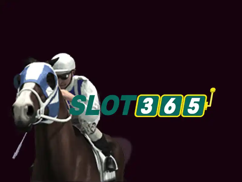 Sản phẩm và dịch vụ chính: Ứng dụng slot365 tại