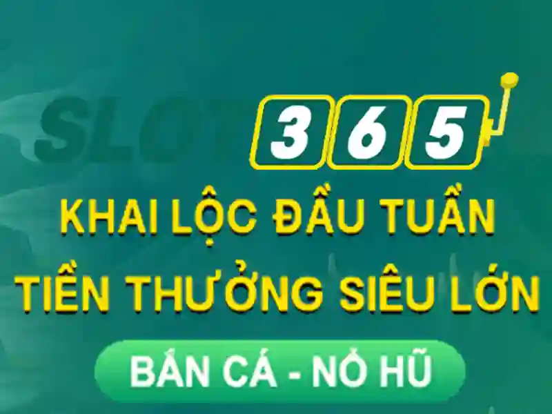 Tính năng và giao diện