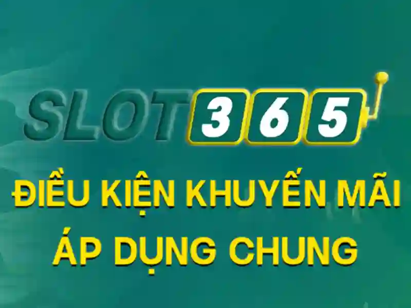 Khuyến mãi và chương trình phần thưởng<h>Trải nghiệm di động và khách hàng</h><p><span style=