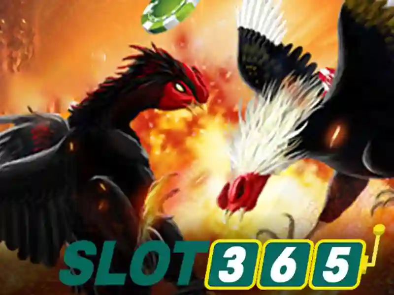 raja slot365 – Giới thiệu độc đáo