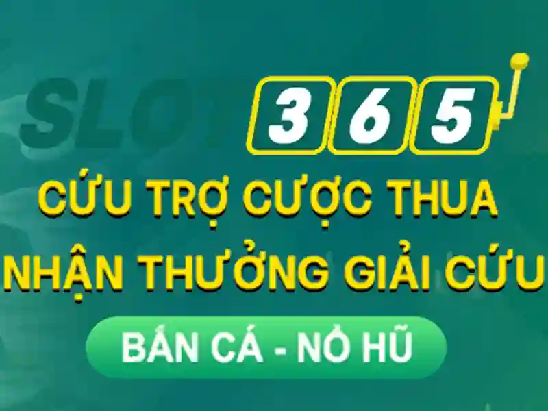 Phát triển và tầm nhìn tương lai