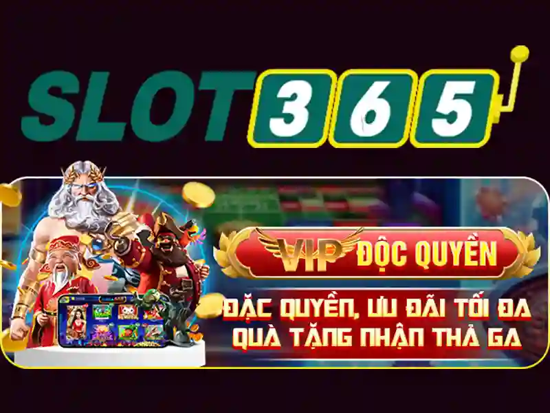 slot365. – Trải nghiệm người dùng và phản hồi cộng đồng