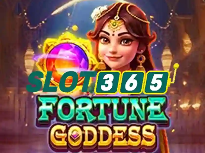 slot365 alternatif – Trải nghiệm người dùng và phản hồi cộng đồng