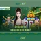 Slot365: Đánh giá tổng quan và hướng dẫn chơi