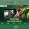 Slot365: Những đánh giá và hướng dẫn chơi máy xèng trực tuyến
