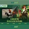 Slot365: Trải nghiệm casino slots trực tuyến hàng đầu tại Việt Nam