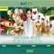 Slot365: Nen tang choi slot truc tuyen chat luong