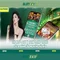 Slot365: Đánh giá và Hướng dẫn cho người chơi Việt