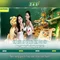 Slot365 là gì và trải nghiệm người chơi
