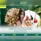 Slot365 – Nền tảng slot trực tuyến hàng đầu