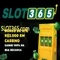 Slot365: Trải nghiệm slot trực tuyến đỉnh cao
