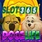 Slot365 apk – Tổng quan, trải nghiệm và đánh giá Slot365